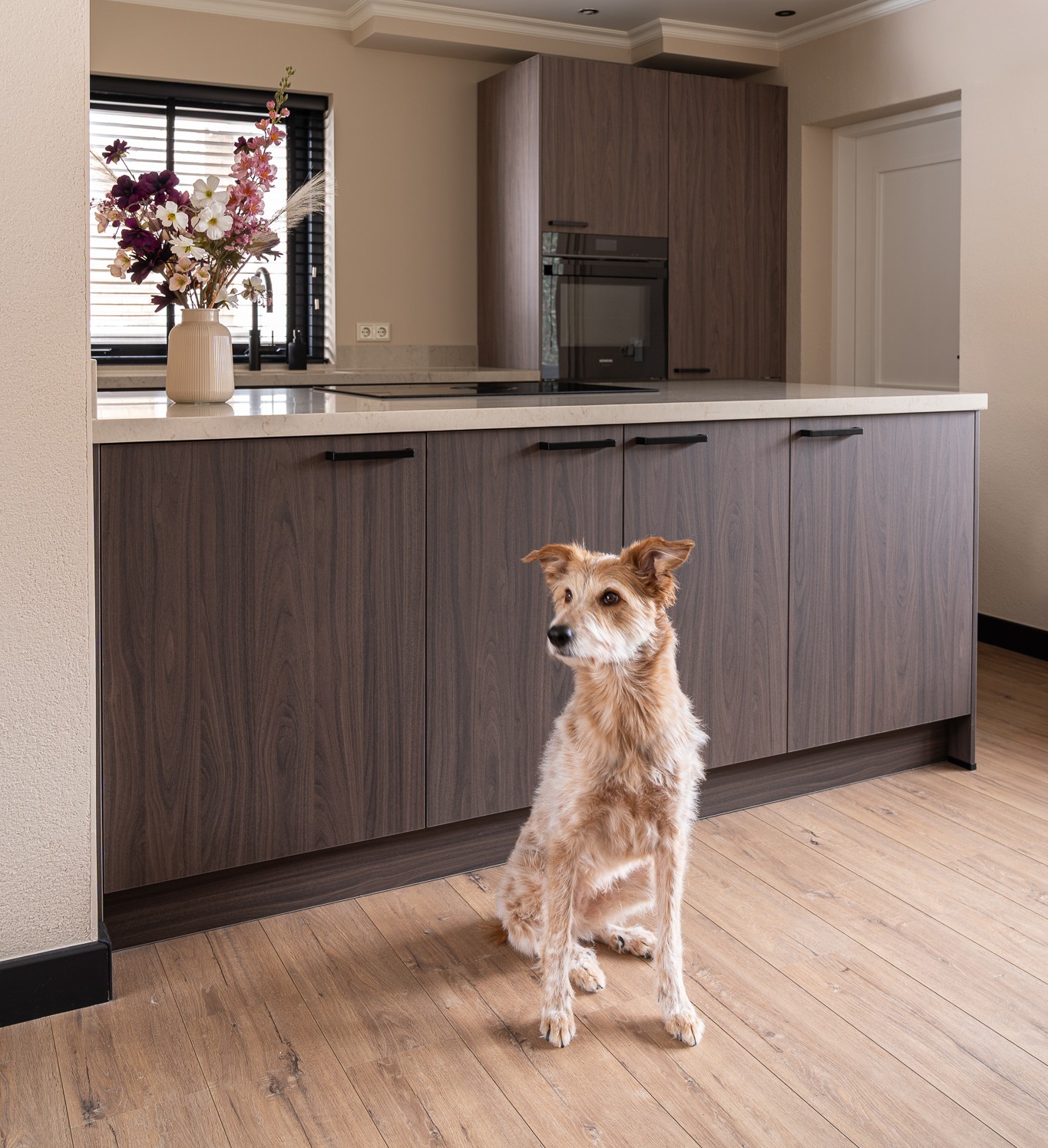 Hond familie Spikmans - van der Linden